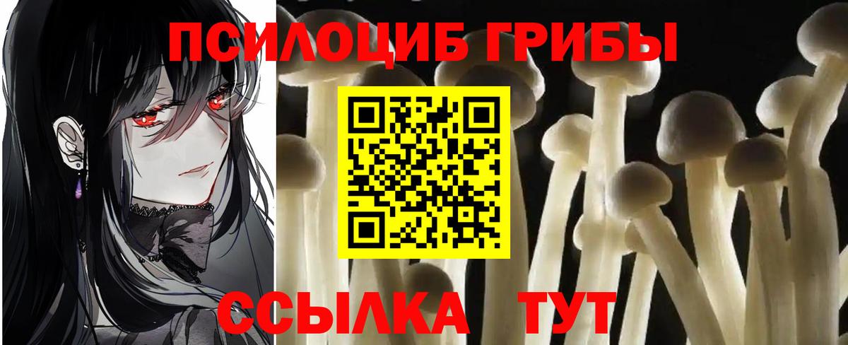 Галлюциногенные грибы GOLDEN TEACHER  Псилоцибиновые грибы Psilocybe  Арзамас  Вход с VPN 